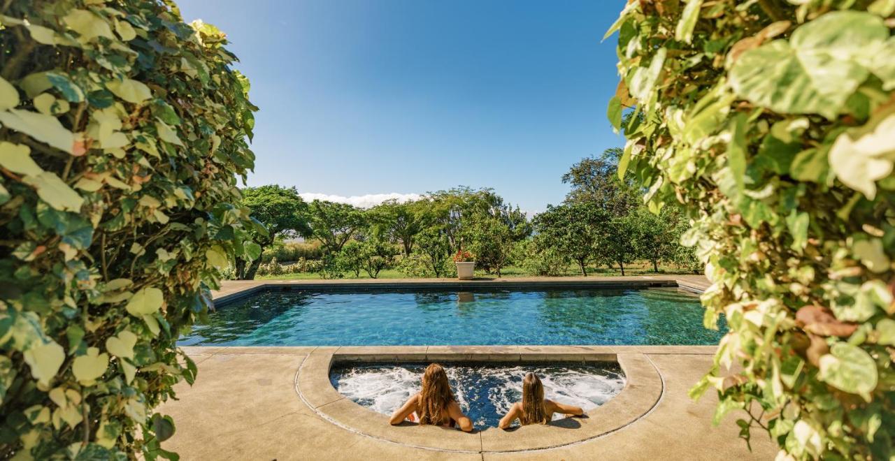 Lumeria Maui, Educational Retreat Center Makawao Kültér fotó